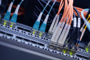 Optical Cable Blue and Orange. 