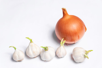 Garlic and onion on a white background