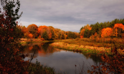 Fototapeta premium Fiery autumn on the banks of Western Berezina river, Belarus
