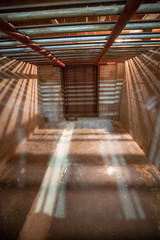 Fototapeta premium Polar Bear Jail Cell and Bars