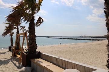 marriage on the beach