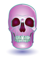 human skull in pink on white background