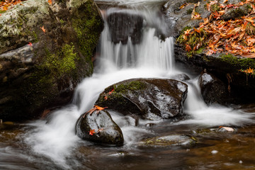 Rocks in a Stream at Autumn Time