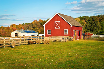 Autumn Barn