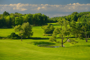 Naklejka premium Mowed fields of green grass with pond and trees at a country equestrian center