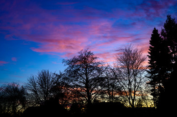 Houses and trees in front of an impressive evening sky with clouds that are illuminated in pink by the setting sun. The photo looks like a silhouette, in which the landscape is rendered black.