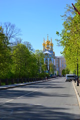 cathedral of christ the savior in pushkin