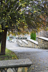 old house in the forest