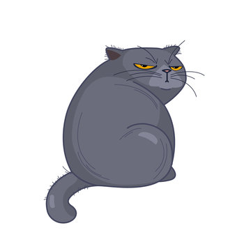 offended British fat cat sits back, looking grimly on a white background. Vector