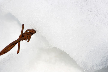 The barbed wire with snowy and rusty.