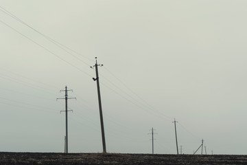 Power lines, cloudy days, empty fields