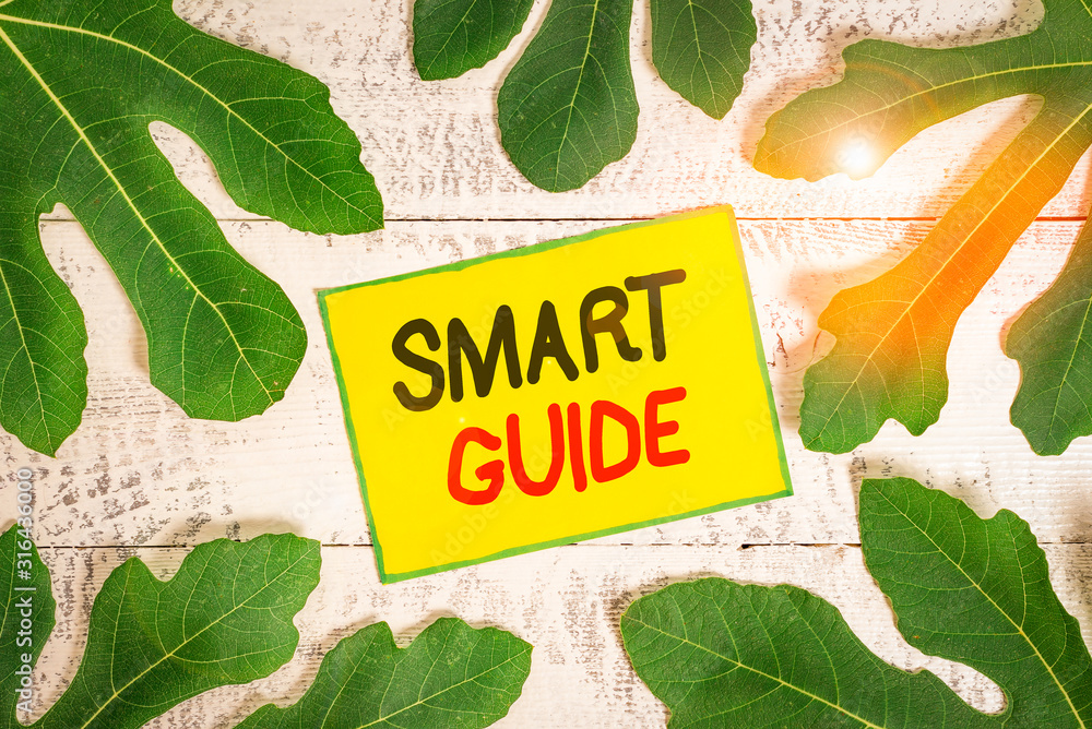 Poster handwriting text writing smart guide. conceptual photo used to guide the development of measurable g