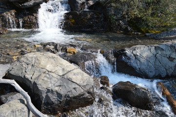 Cascading Tangle Creek Falls in Jasper National Park, Alberta, Canada