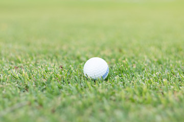 Golf ball on grass