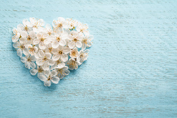 Cherry blossom flowers forming a heart shape on a blue wooden background with copy space: spring time concept - favorite time