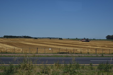 rural landscape 