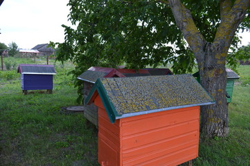 Old colorful wooden beehives in the meadow in a village 