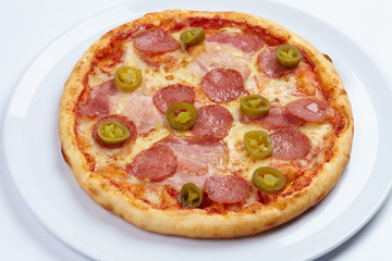 tasty pizza on the white plate