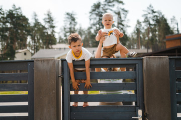 Young mother playing and having fun with her baby boy son brothers in a green garden with cars - Family values warm color summer scene - Eastern European Latvia Riga