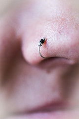 Nose ring attached to the nose. Nose ring close up.