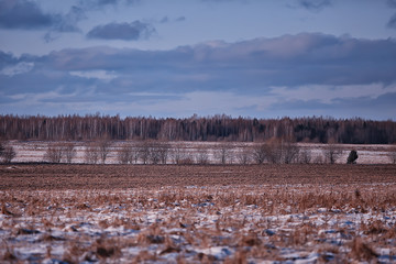 winter rural landscape, panoramic view seasonal january