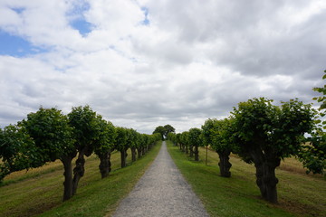 Symmetric avenue in germany