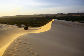 Sand mountains in the desert