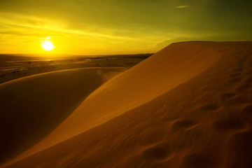 Desert at sunset in the evening