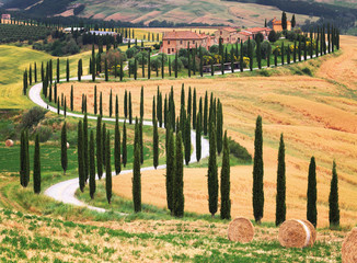 Beautiful landscape in Tuscany with bending road and cypress trees, Located in Siena countryside,...