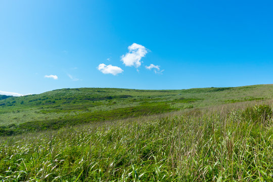 field of gress and perfect sky. naturan landscape.