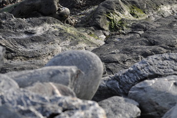 Sea rocks 