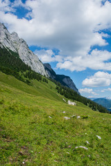 Berchtesgaden auf der Alm 