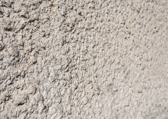 A rough gray cement wall, close-up.