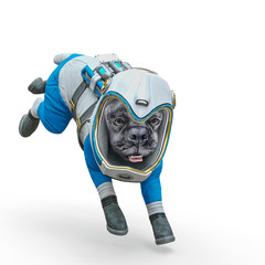 dog the astronaut landing in white background © DM7