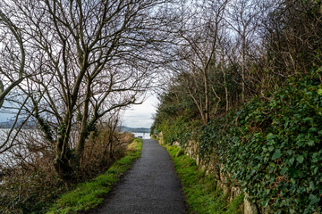 Fototapeta na wymiar Coastal path between Buncrana in County Donegal and the life boat Station