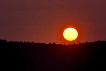 Silhouettes of pine trees at sunset with the sun about to disappear on the horizon. Jacques-Cartier National Park, Canada. Nature concept