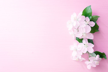 Fototapeta na wymiar Flowering apple tree branches on a pink wooden background