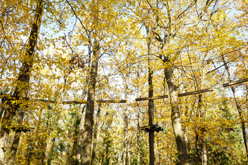 park for climbers in the autumn forest