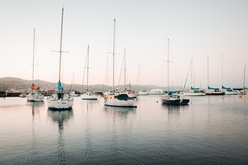 Fototapeta premium Wellington Sailboats