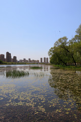 Waterfront City Scenery, China