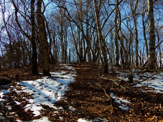 本社カ丸の山道