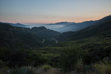 Ojai Fog