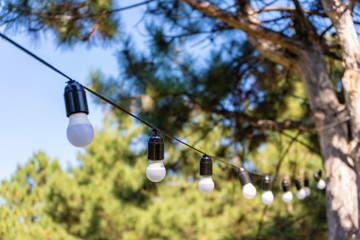 Obraz premium Decoration for an outdoor party. A garland of light bulbs hanging between the trees