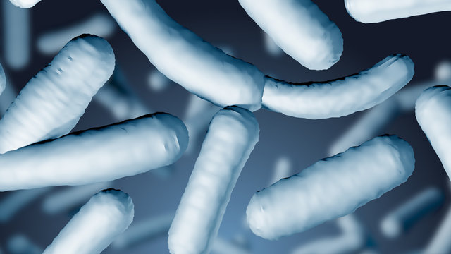 Lactobacilli under microscope. Scientific 3d medical render of bacterias floating on gradient background with blurred elements. Bifidobacterium Probiotic cells. Macro view. Natural blue colors