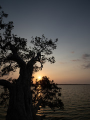 sunrise at Myall National park