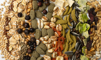 Dry Rodent Food Mix for Mouse, Rabbit or Degu Feed Texture