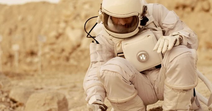 Astronaut in the space costume find life on the uninhabited planet Mars, looking and exploring green plant on the hard solid. Outside.