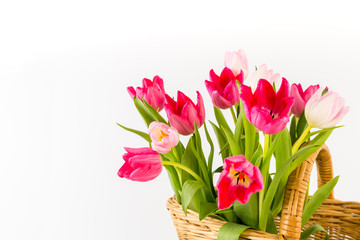 Bouquet of fresh spring tulips