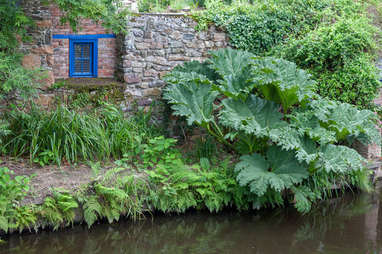 Am Fluss Trieux, Pontrieux