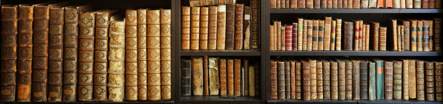 old books on wooden shelf in a library